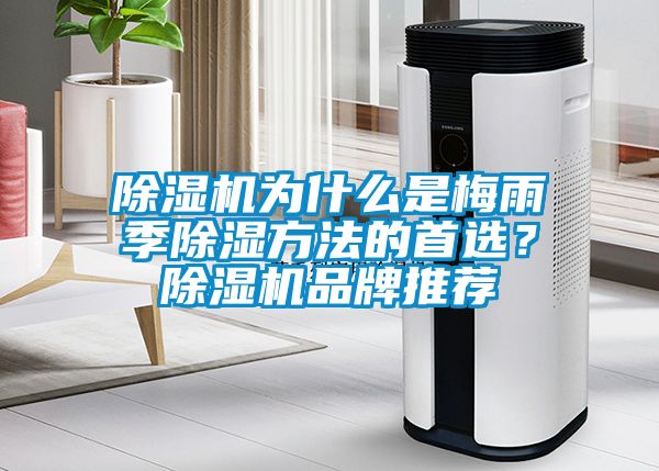 除濕機為什么是梅雨季除濕方法的首選？除濕機品牌推薦