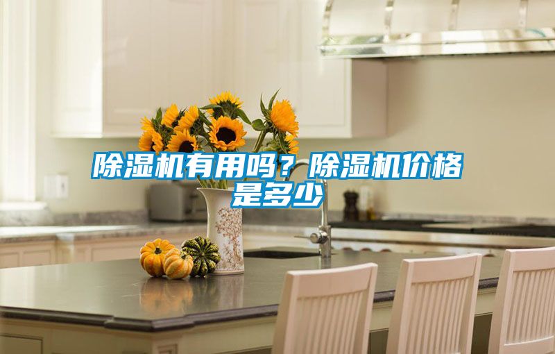 除濕機(jī)有用嗎？除濕機(jī)價(jià)格是多少
