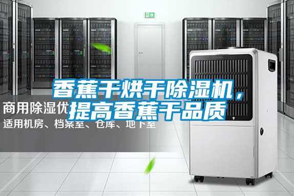 香蕉干烘干除濕機，提高香蕉干品質(zhì)