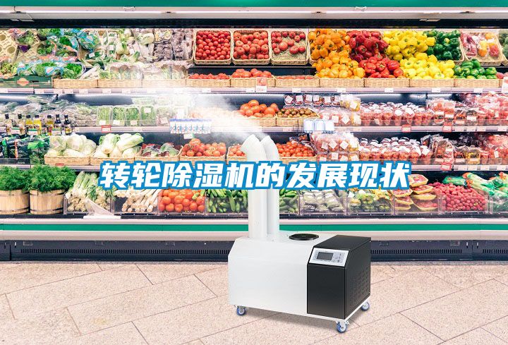 轉輪除濕機的發(fā)展現(xiàn)狀