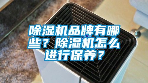 除濕機品牌有哪些？除濕機怎么進行保養？