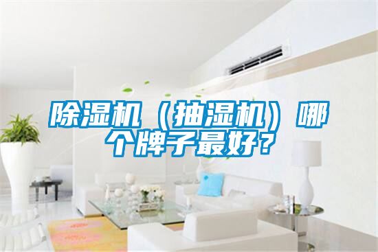 除濕機(jī)（抽濕機(jī)）哪個牌子最好？