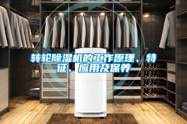 轉輪除濕機的工作原理、特征、應用及保養(yǎng)