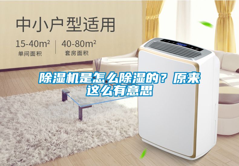 除濕機是怎么除濕的？原來這么有意思