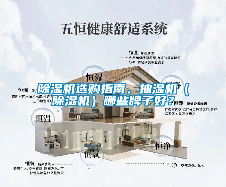 除濕機選購指南，抽濕機（除濕機）哪些牌子好？