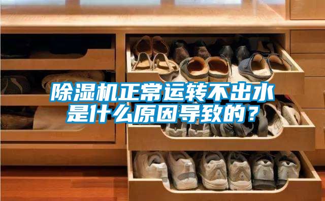 除濕機正常運轉不出水是什么原因導致的？