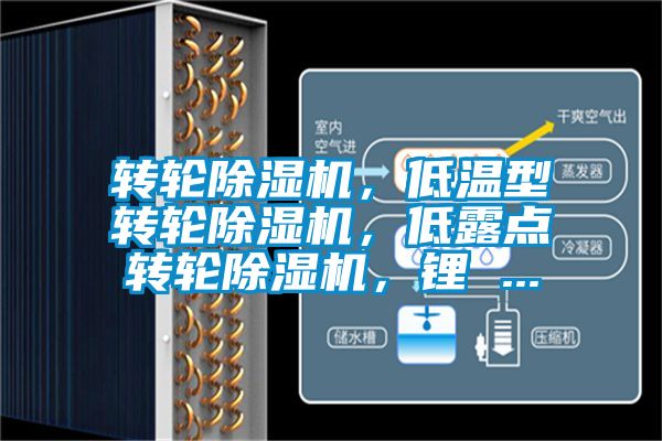 轉(zhuǎn)輪除濕機(jī)，低溫型轉(zhuǎn)輪除濕機(jī)，低露點(diǎn)轉(zhuǎn)輪除濕機(jī)，鋰 ...