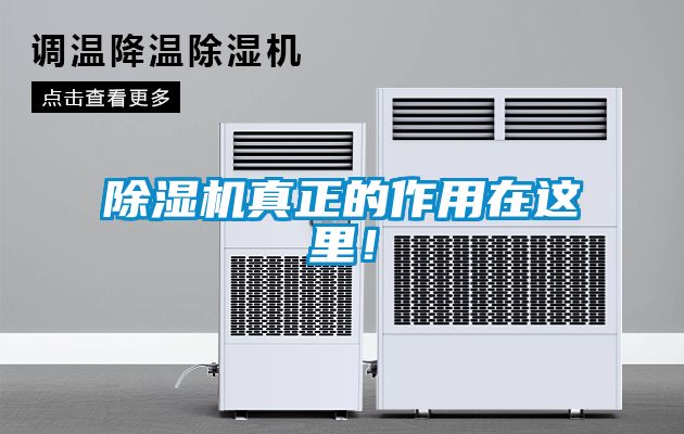 除濕機真正的作用在這里！