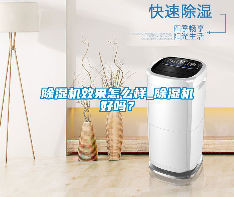 除濕機效果怎么樣_除濕機好嗎？