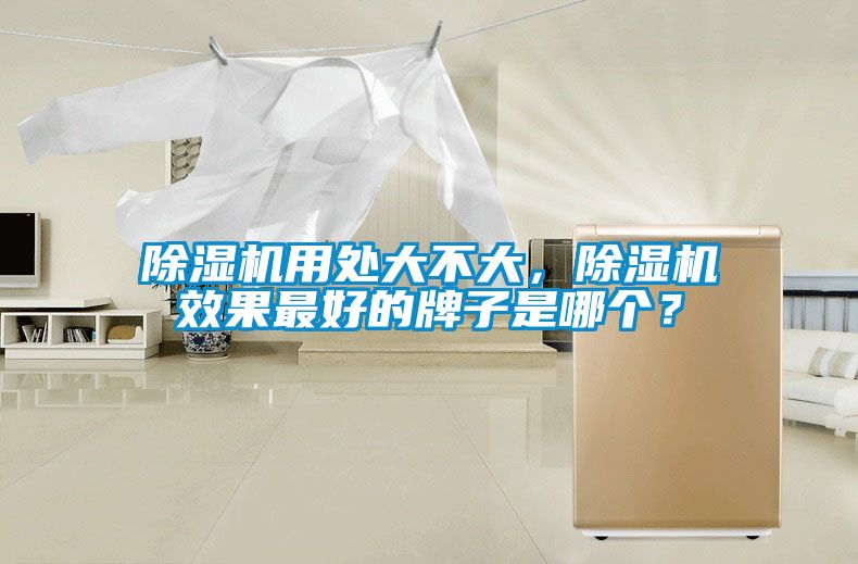 除濕機用處大不大，除濕機效果最好的牌子是哪個？