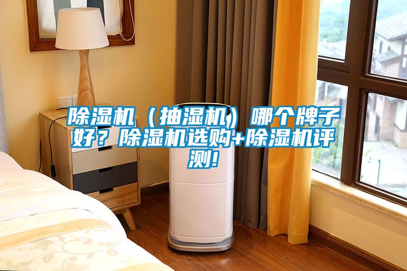 除濕機(jī)（抽濕機(jī)）哪個牌子好？除濕機(jī)選購+除濕機(jī)評測!