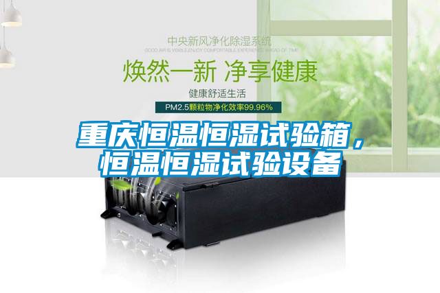 重慶恒溫恒濕試驗箱，恒溫恒濕試驗設備