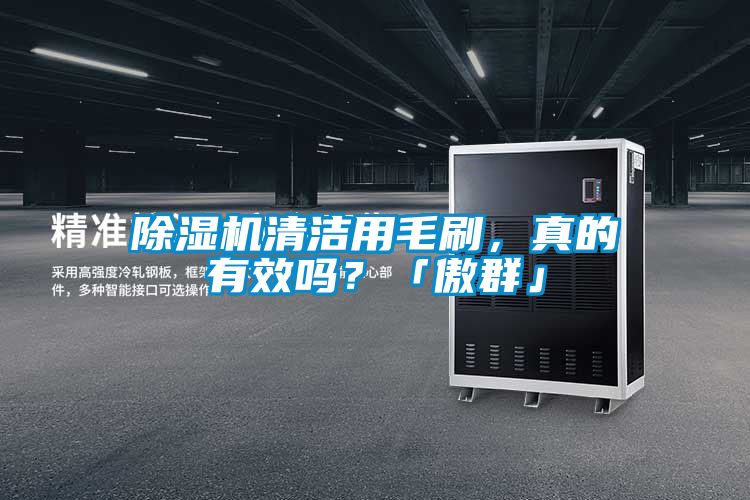 除濕機清潔用毛刷，真的有效嗎？「傲群」