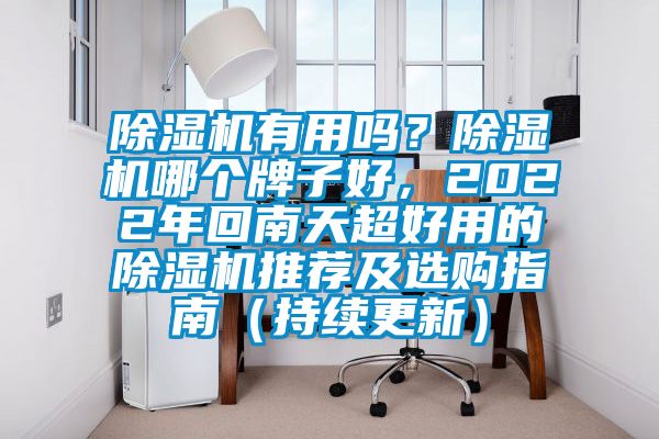除濕機有用嗎？除濕機哪個牌子好，2022年回南天超好用的除濕機推薦及選購指南（持續更新）