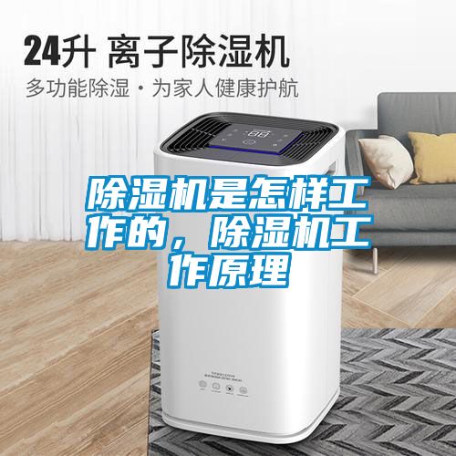除濕機是怎樣工作的，除濕機工作原理