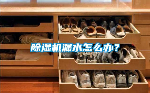 除濕機漏水怎么辦？
