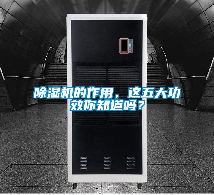 除濕機的作用，這五大功效你知道嗎？