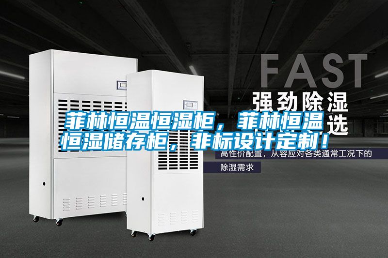 菲林恒溫恒濕柜，菲林恒溫恒濕儲存柜，非標設計定制！