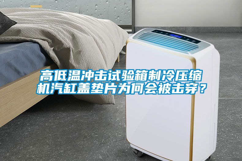 高低溫沖擊試驗箱制冷壓縮機汽缸蓋墊片為何會被擊穿？