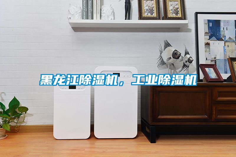 黑龍江除濕機，工業除濕機