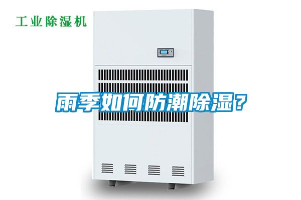雨季如何防潮除濕？