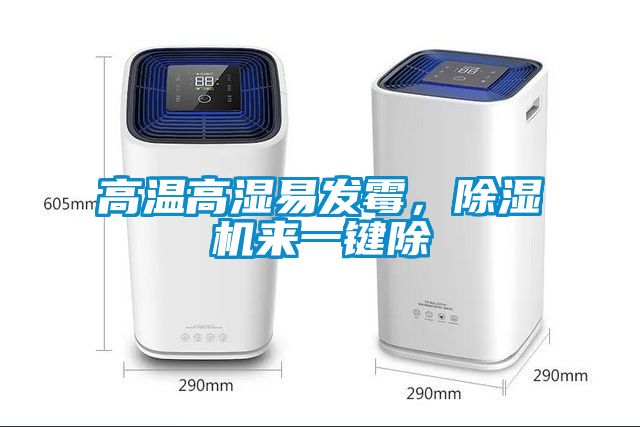 高溫高濕易發霉，除濕機來一鍵除