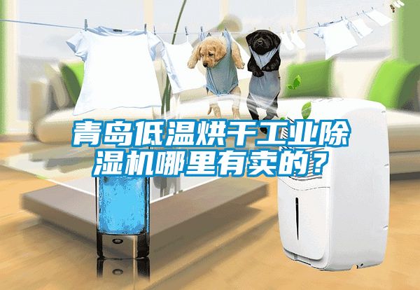 青島低溫烘干工業(yè)除濕機(jī)哪里有賣的？