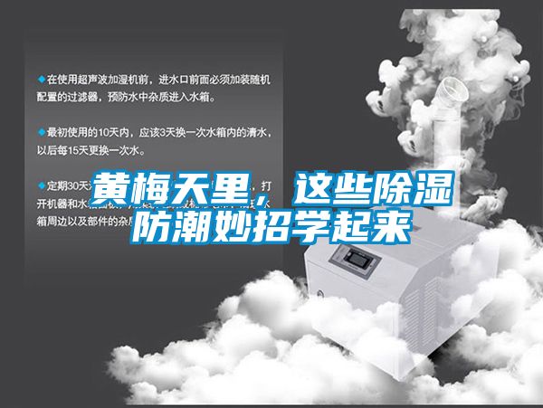 黃梅天里，這些除濕防潮妙招學起來