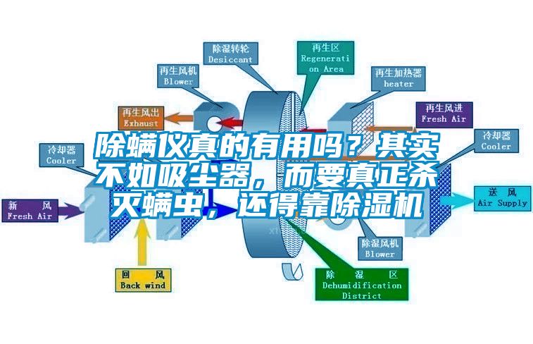 除螨儀真的有用嗎？其實不如吸塵器，而要真正殺滅螨蟲，還得靠除濕機