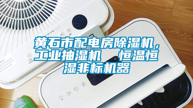 黃石市配電房除濕機，工業抽濕機  恒溫恒濕非標機器